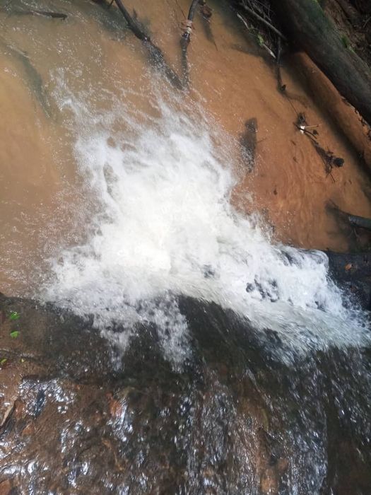 Bain à la rivière